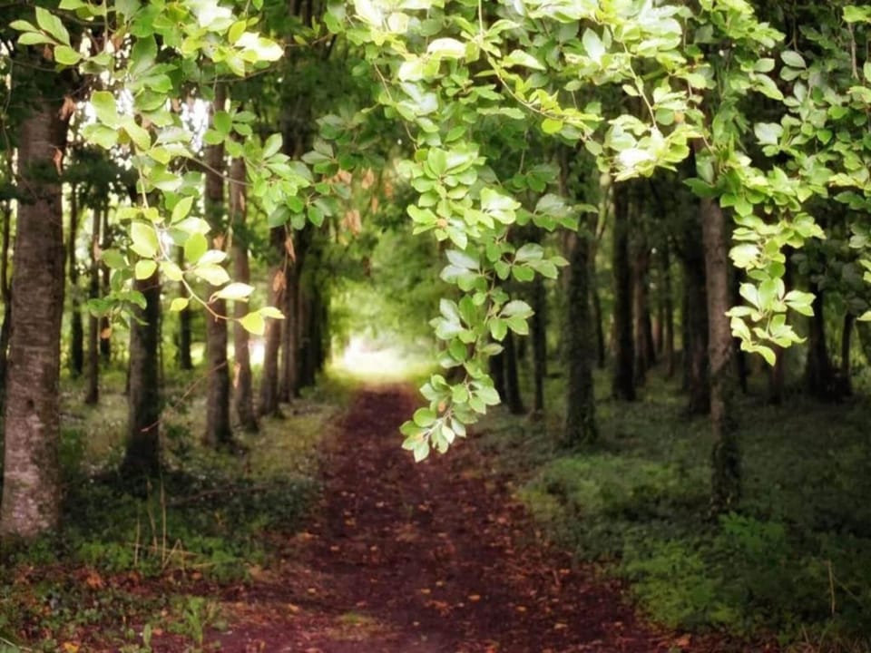 Region [summer] (>5 km)