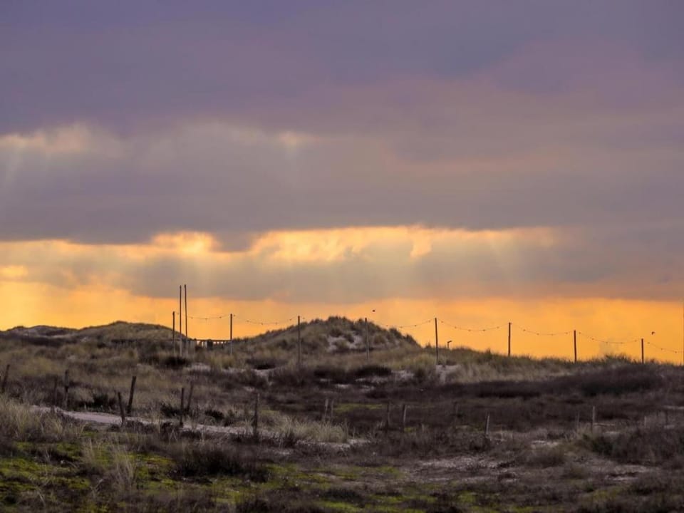 Surroundings [summer] (1-5 km)
