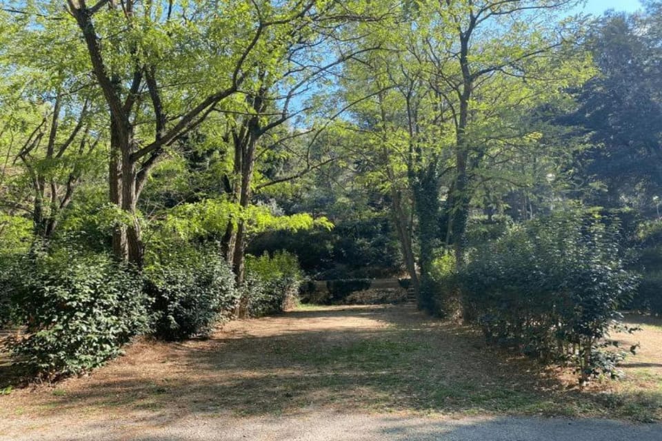 Immediate Surroundings [summer] (<1 km)