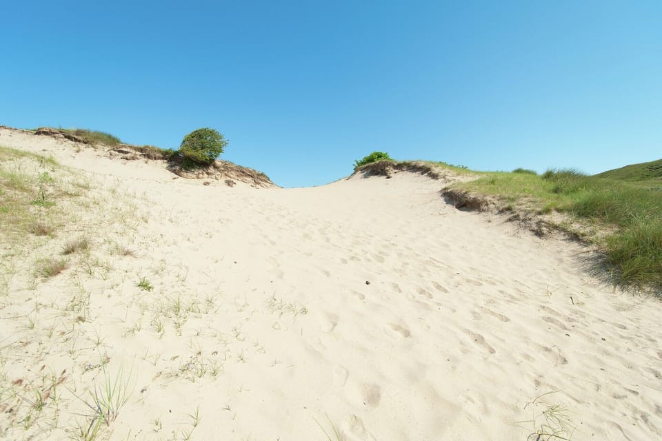 Region [summer] (>5 km)