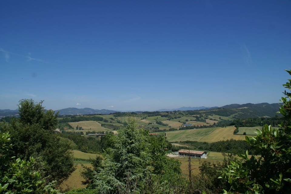 Immediate Surroundings [summer] (<1 km)