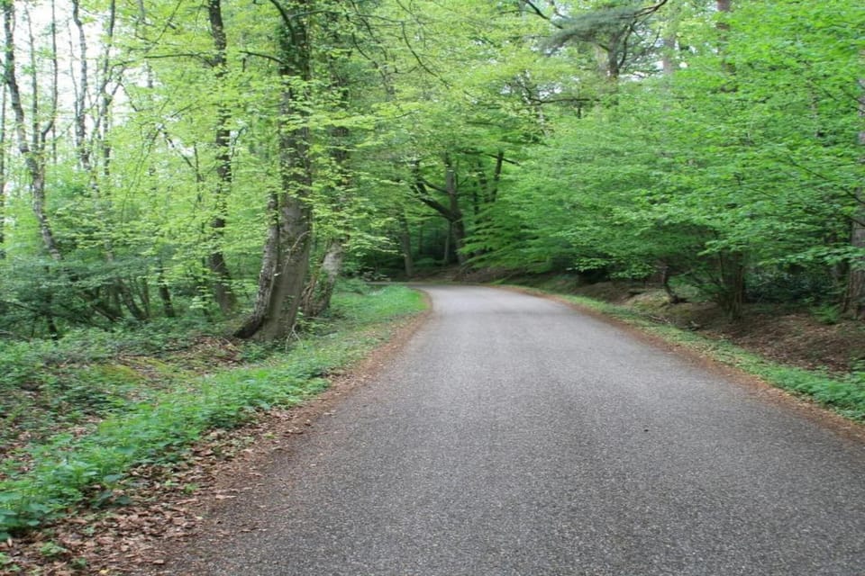 Surroundings [summer] (1-5 km)