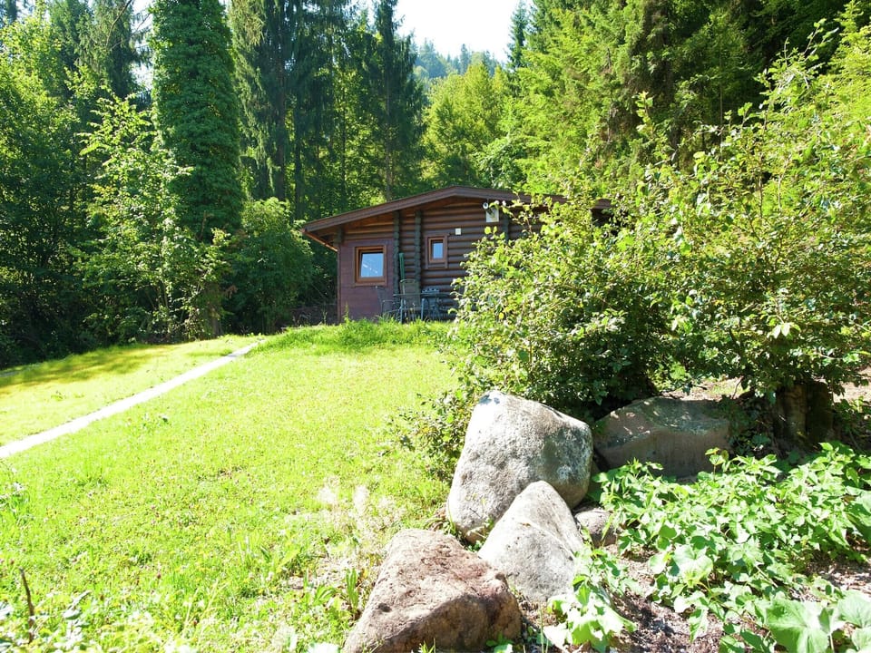 Garden [summer]