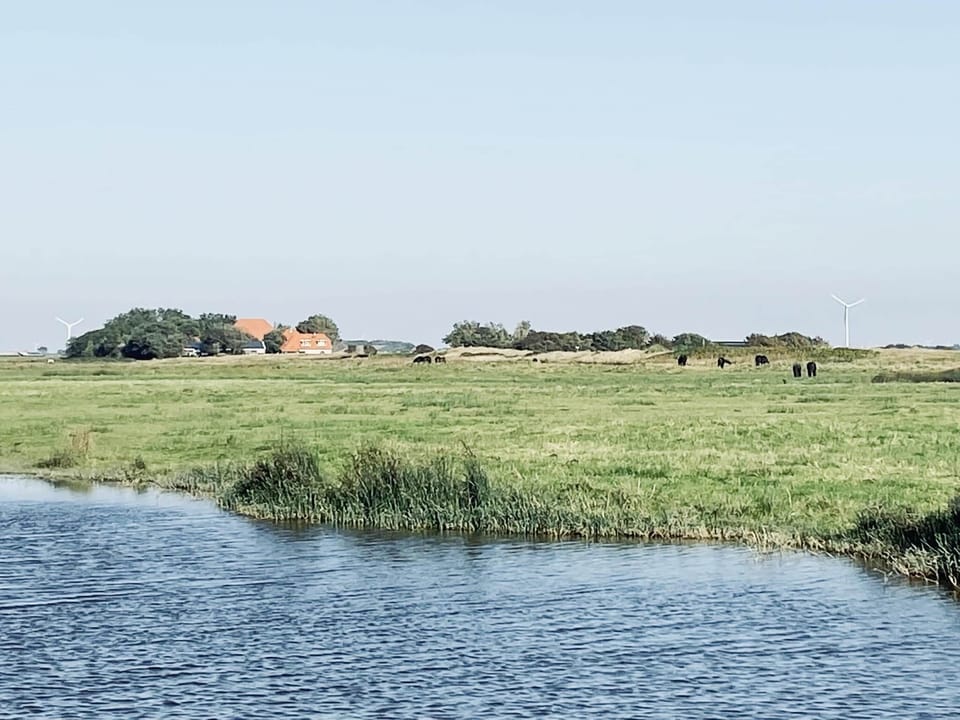 Surroundings [summer] (1-5 km)