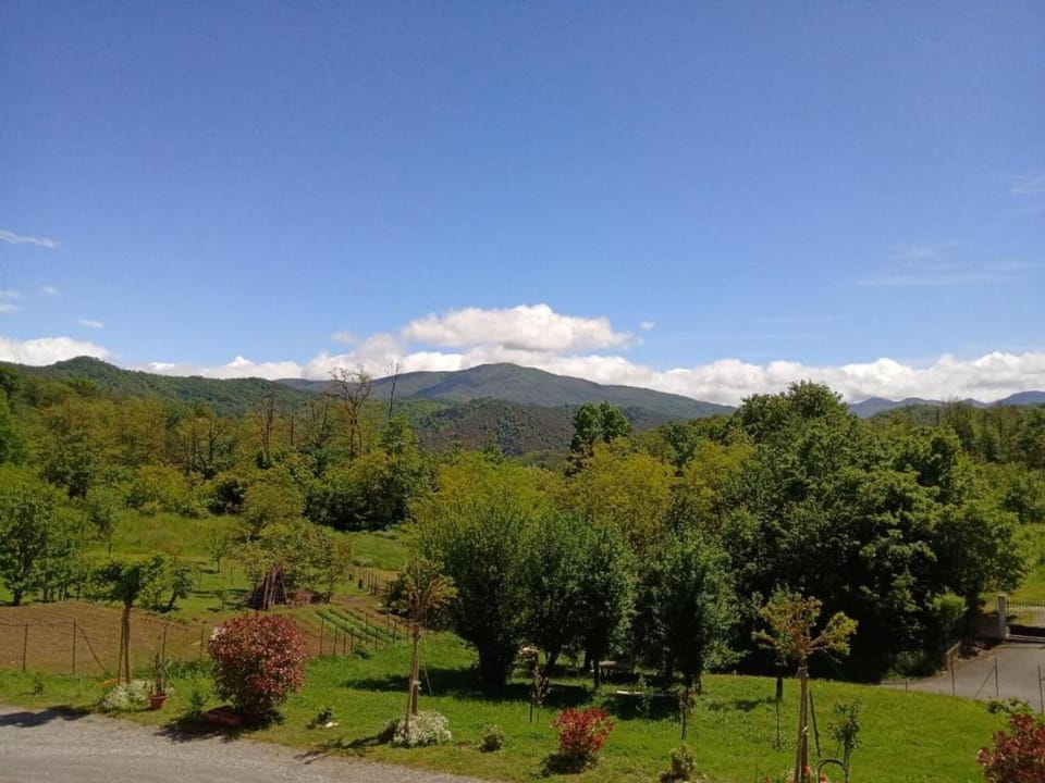 Region [summer] (>5 km)