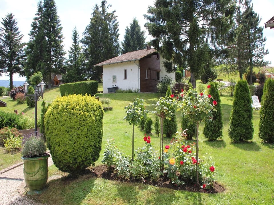 Garden [summer]