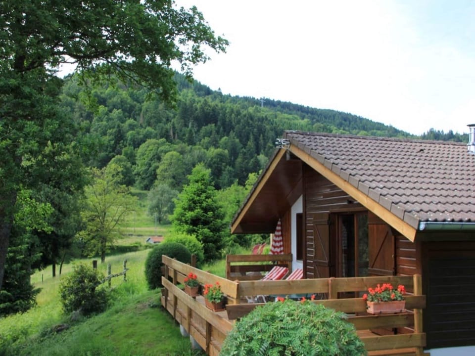 View from Holiday Home [summer]