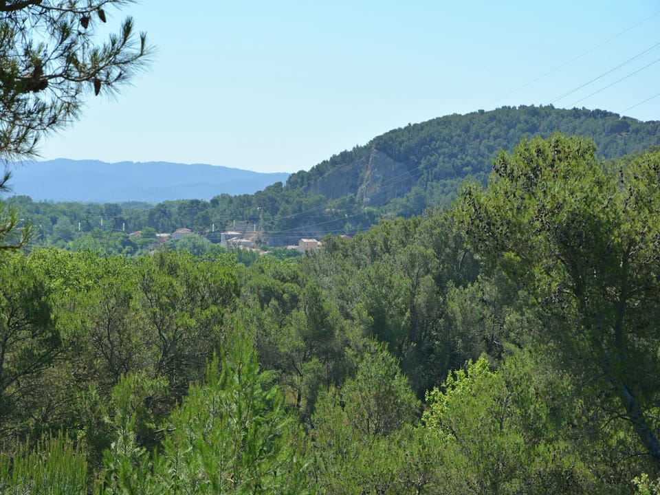 View from Holiday Home [summer]