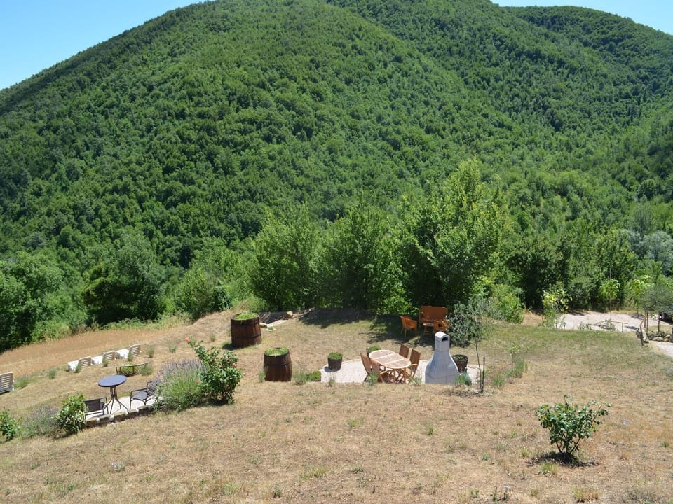 Garden [summer]