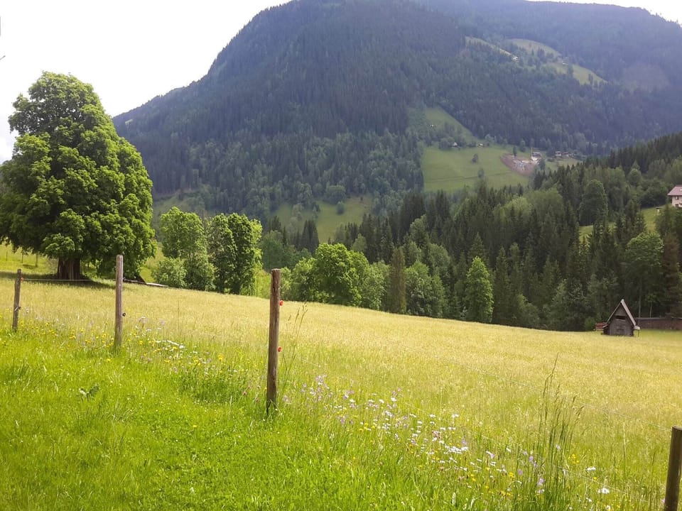 Immediate Surroundings [summer] (<1 km)