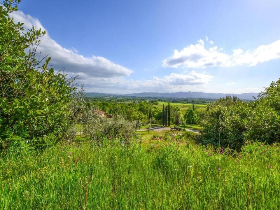 Surroundings [summer] (1-5 km)
