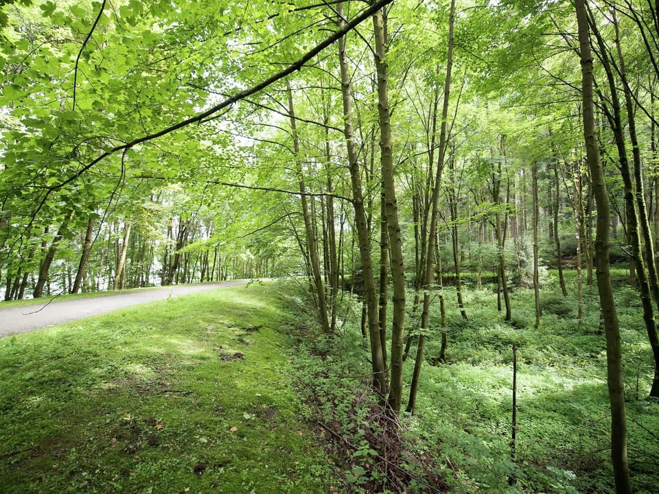 Surroundings [summer] (1-5 km)
