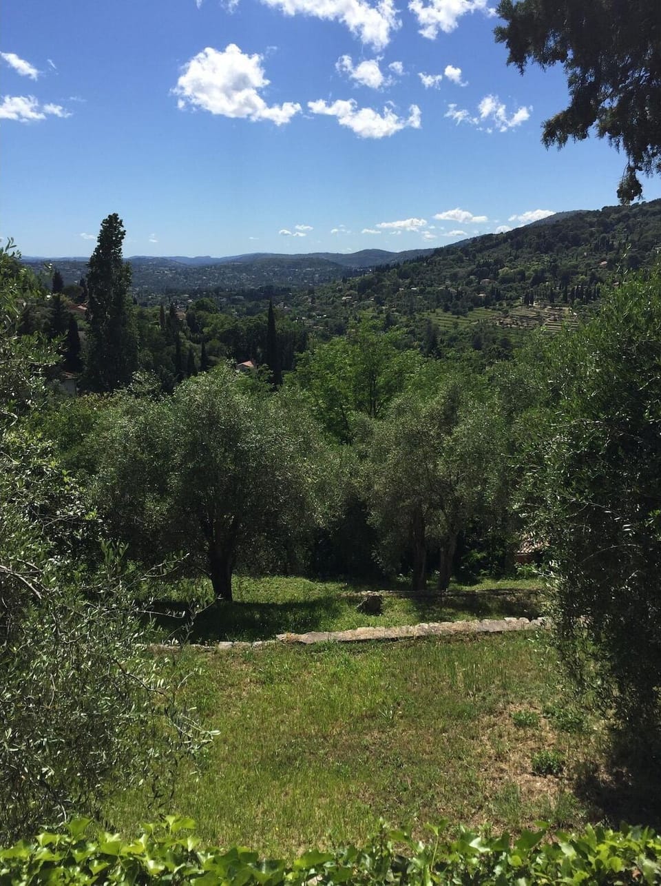 Immediate Surroundings [summer] (<1 km)