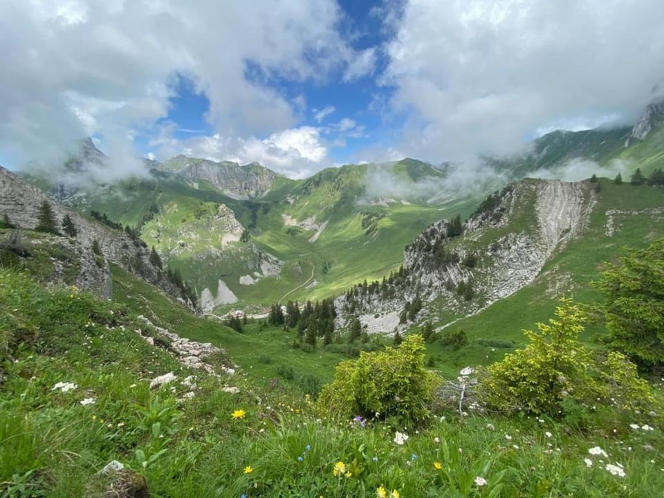 Region [summer] (>5 km)