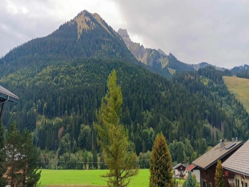 Region [summer] (>5 km)