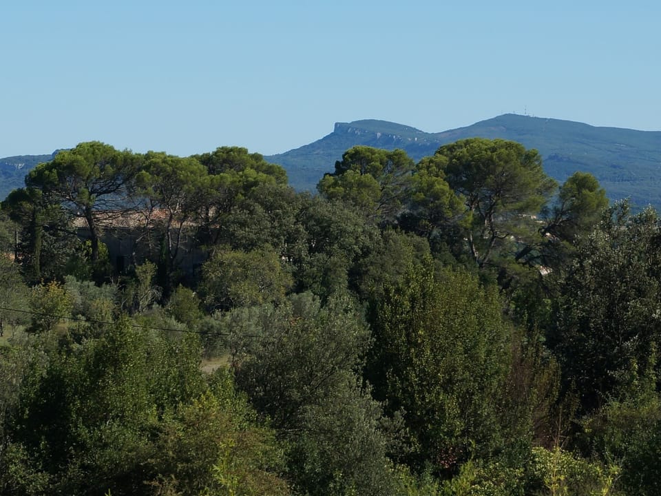 View from Holiday Home [summer]
