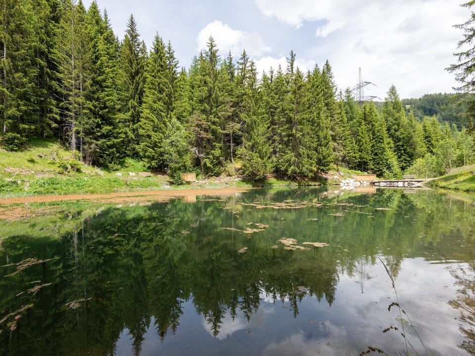 Surroundings [summer] (1-5 km)