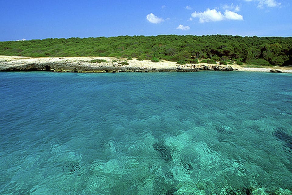 Region [summer] (>5 km)