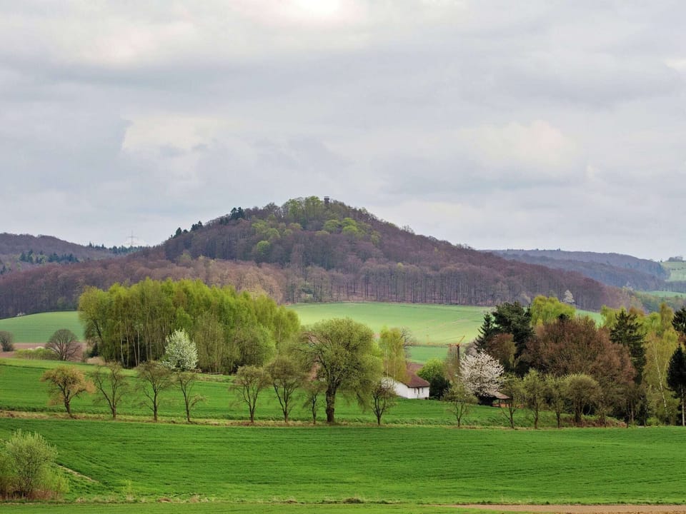 Immediate Surroundings [summer] (<1 km)