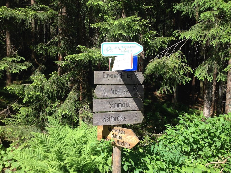 Region [summer] (>5 km)