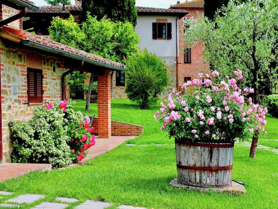 Garden [summer]