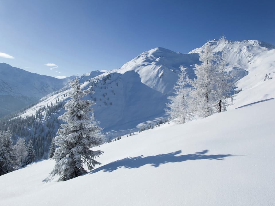 Region [winter] (>5 km)