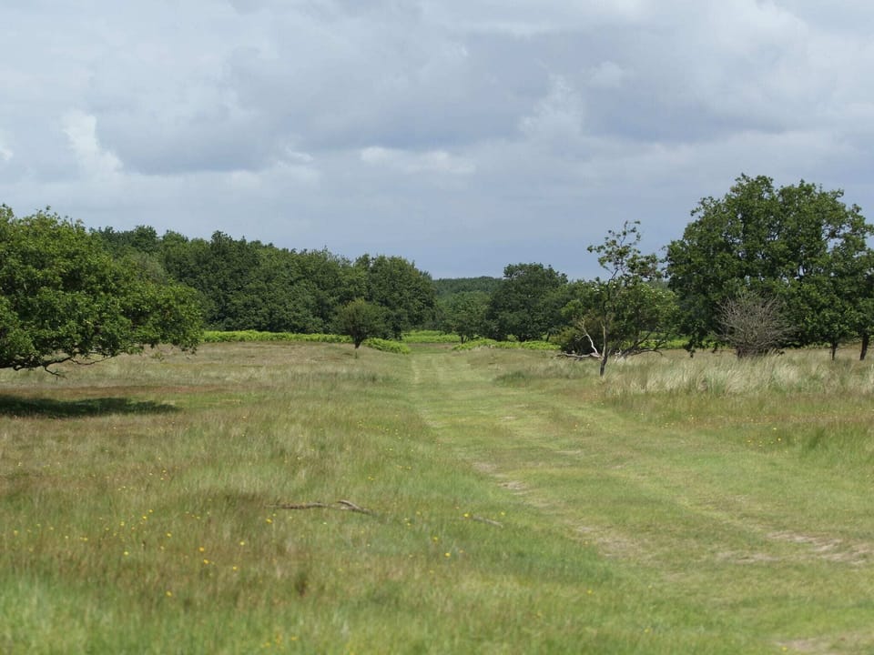 Region [summer] (>5 km)