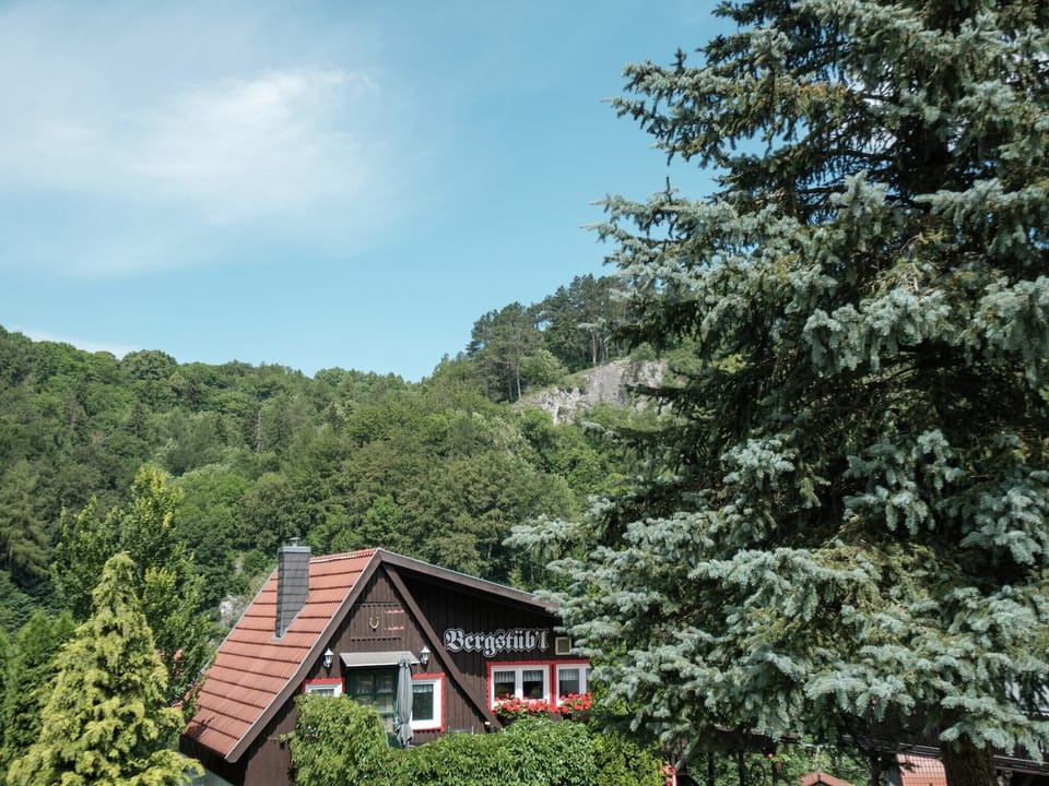 View from Holiday Home [summer]