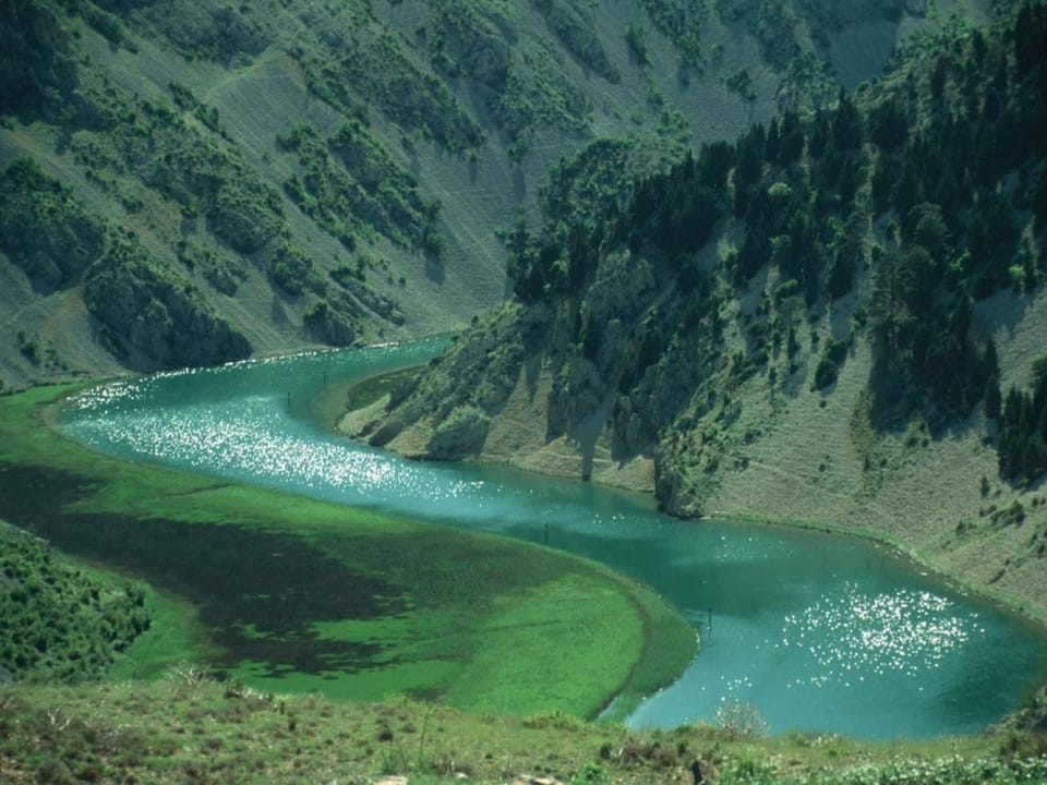 Region [summer] (>5 km)