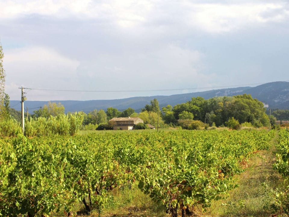 View from Holiday Home [summer]