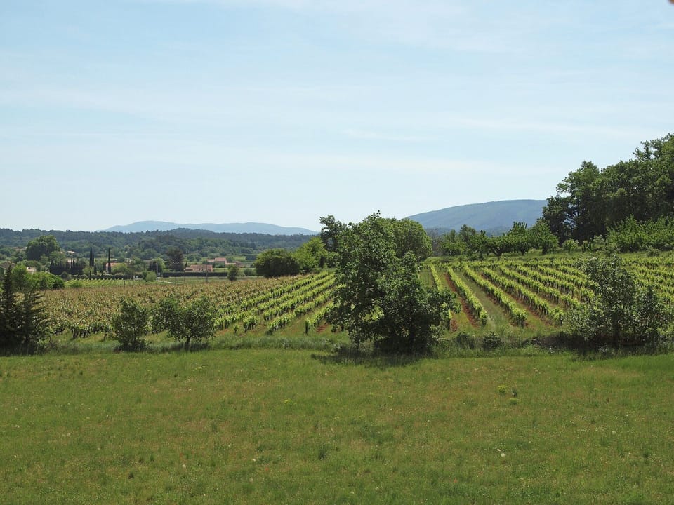 View from Holiday Home [summer]