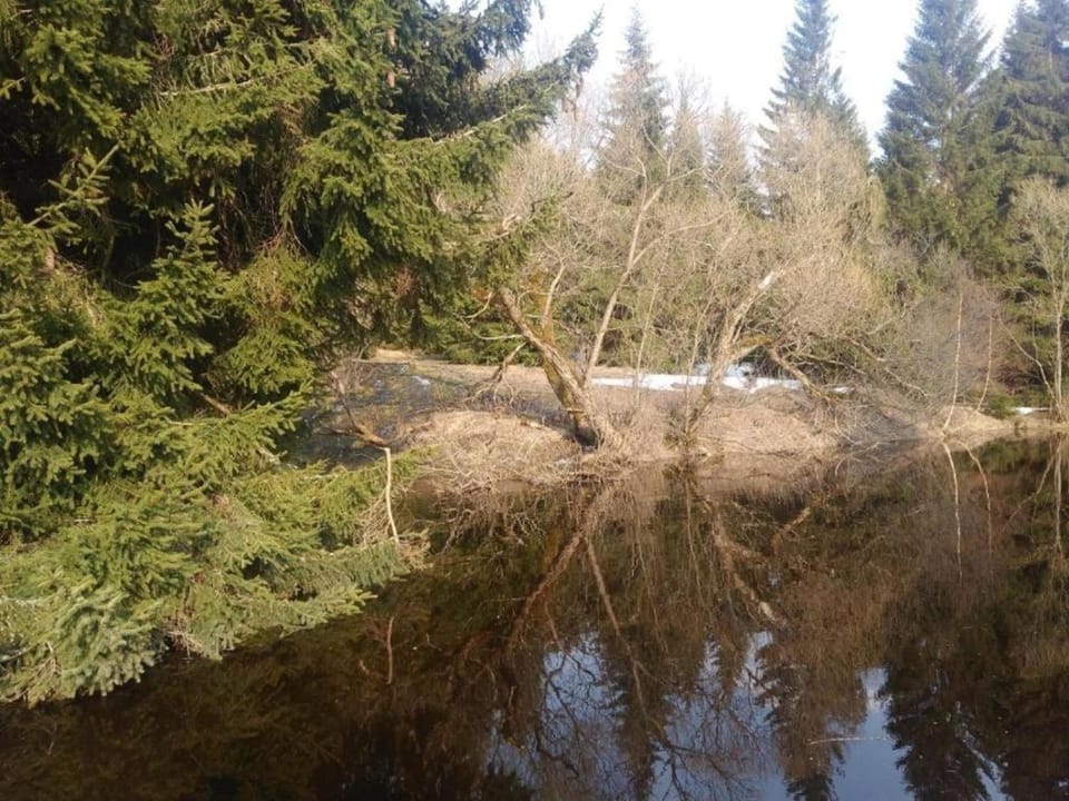 Surroundings [summer] (1-5 km)