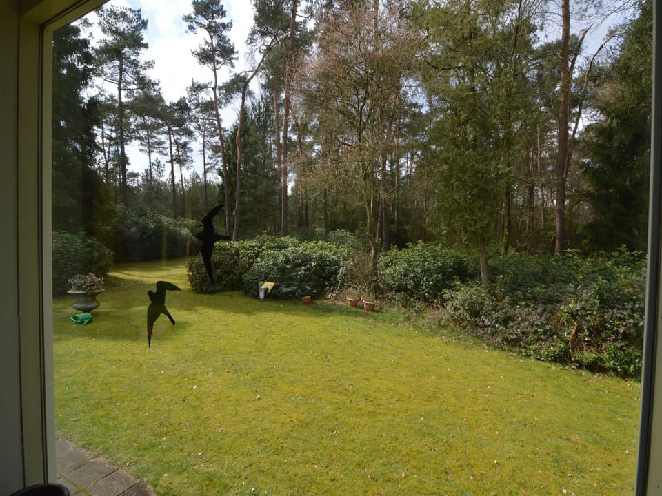 View from Holiday Home [summer]