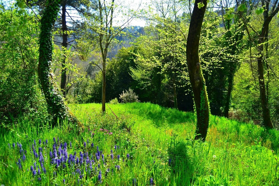 Immediate Surroundings [summer] (<1 km)