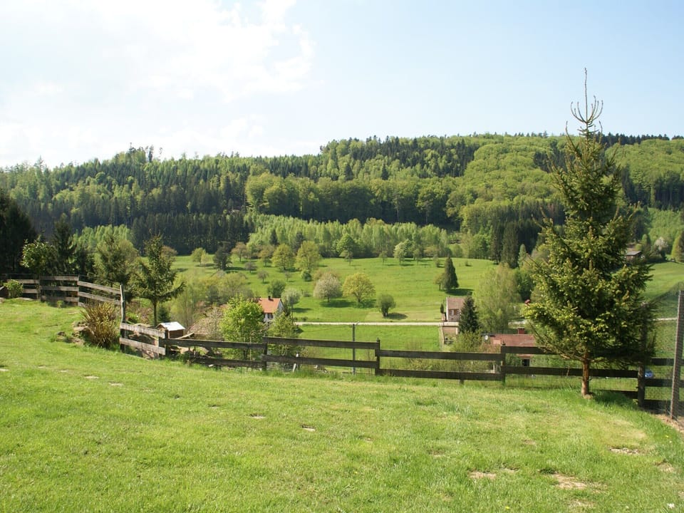 View from Holiday Home [summer]