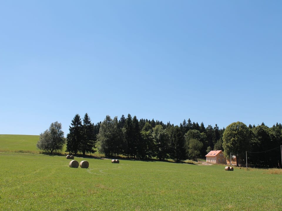 View from Holiday Home [summer]