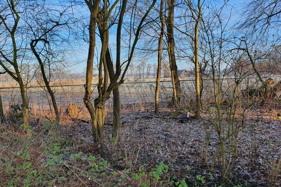 Immediate Surroundings [summer] (<1 km)