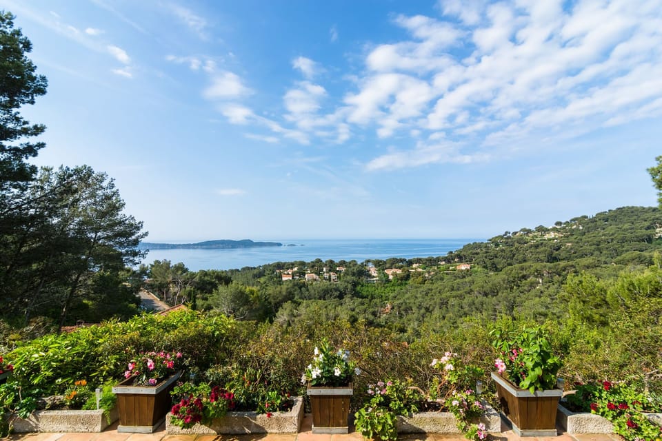 View from Holiday Home [summer]