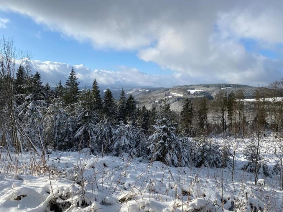 Surroundings [winter] (1-5 km)