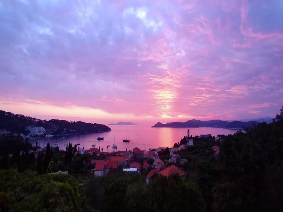 Immediate Surroundings [summer] (<1 km)