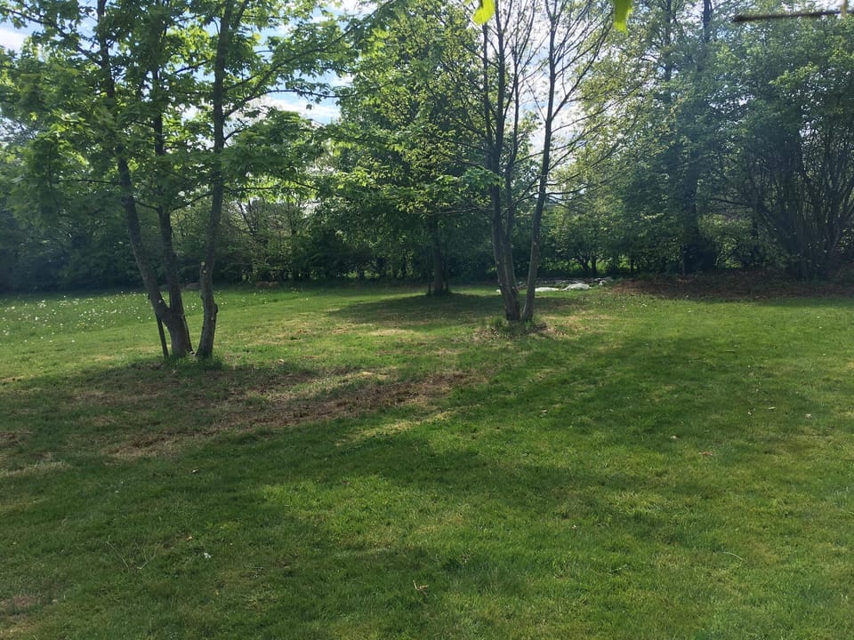 Garden [summer]