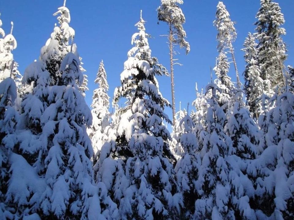 Surroundings [winter] (1-5 km)