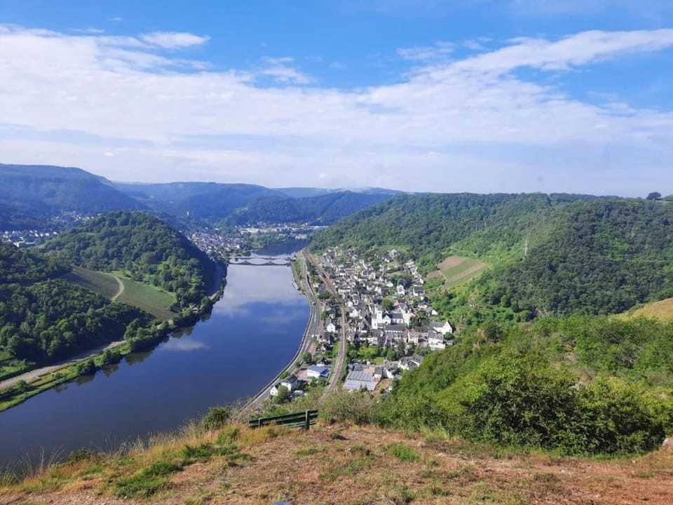 Region [summer] (>5 km)