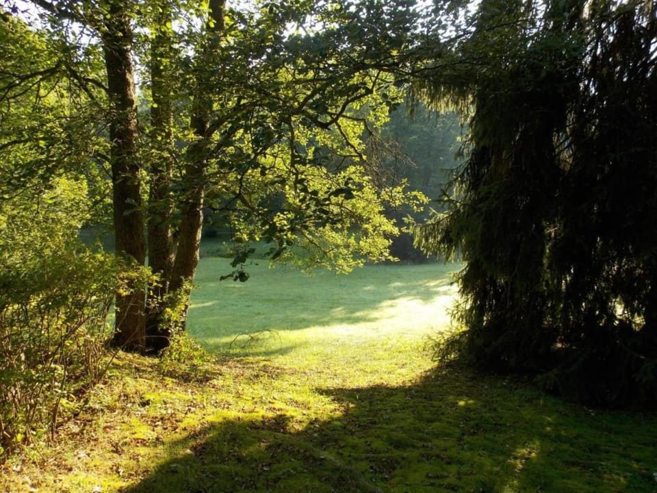 Region [summer] (>5 km)