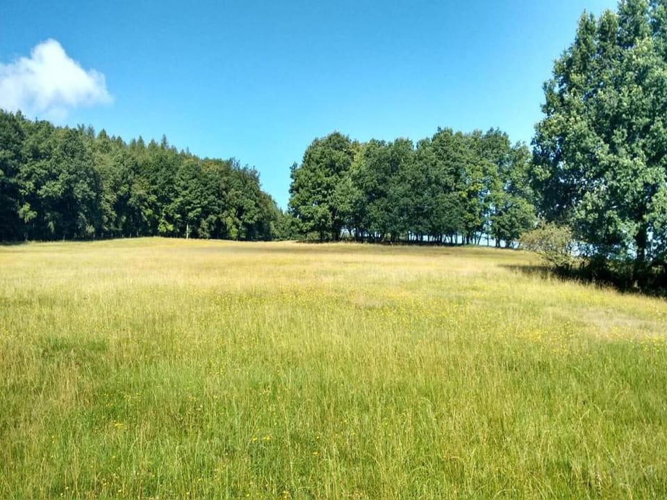 Region [summer] (>5 km)