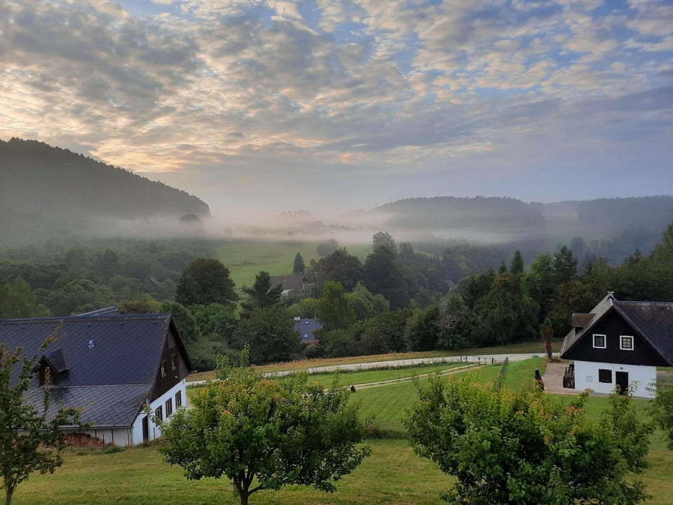 View from Holiday Home [summer]