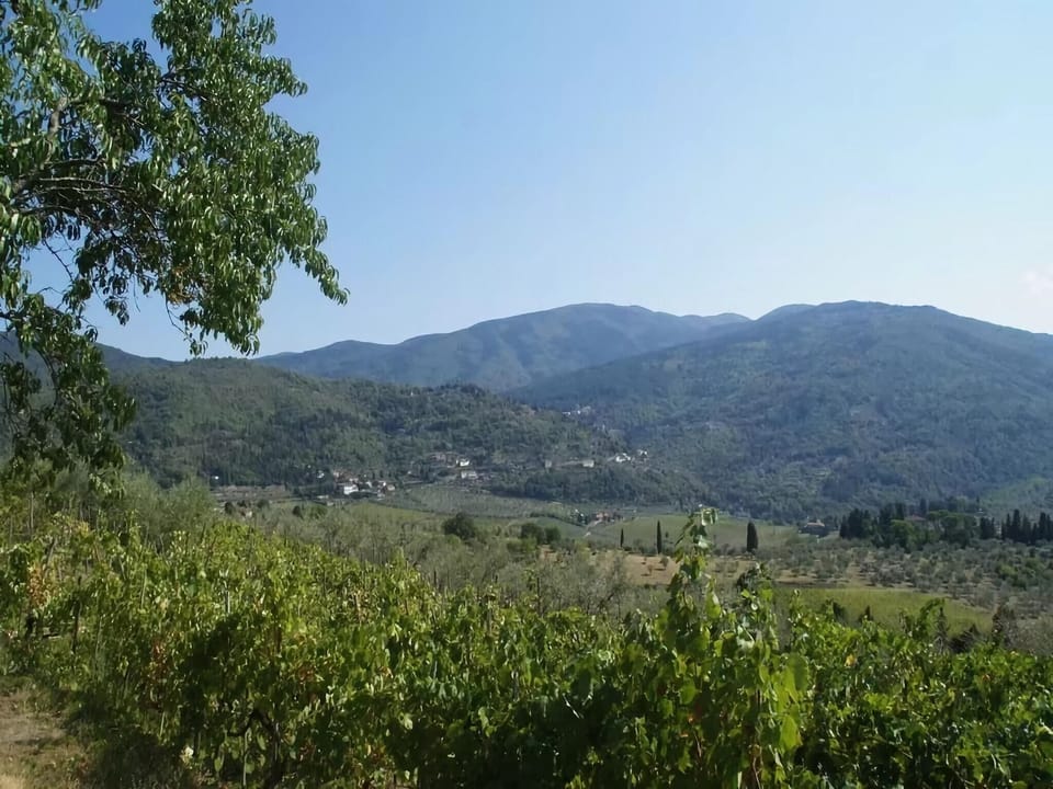 Surroundings [summer] (1-5 km)
