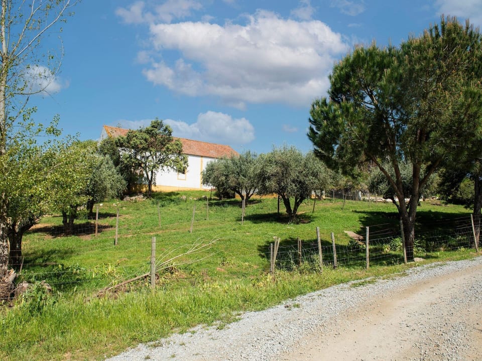 Surroundings [summer] (1-5 km)