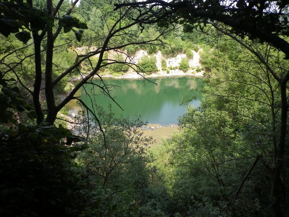 Region [summer] (>5 km)