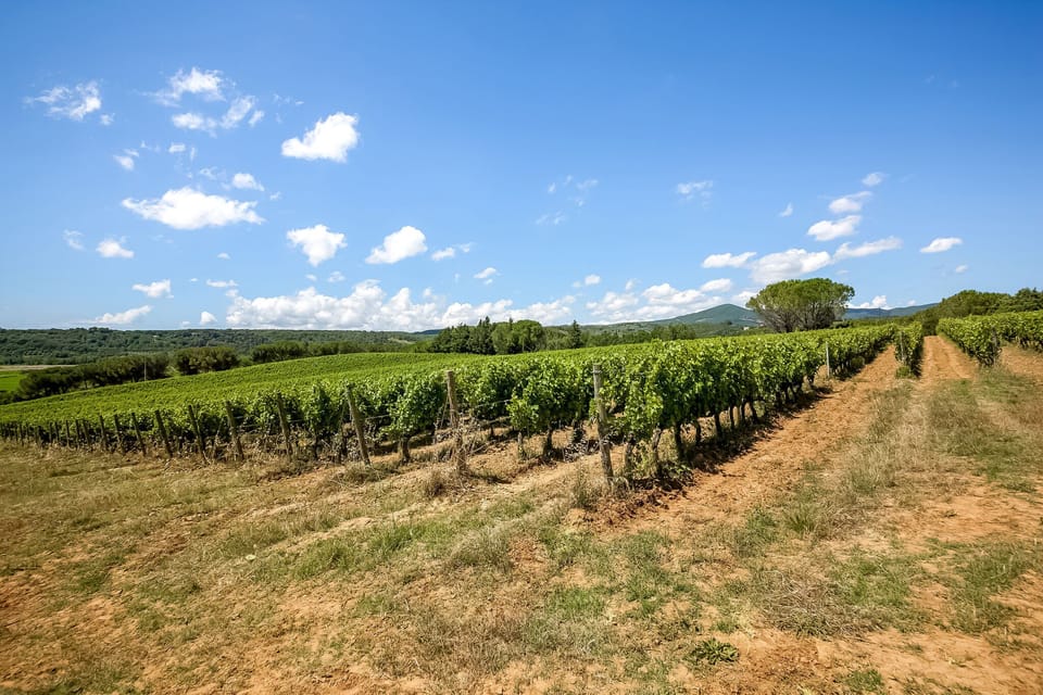 Immediate Surroundings [summer] (<1 km)